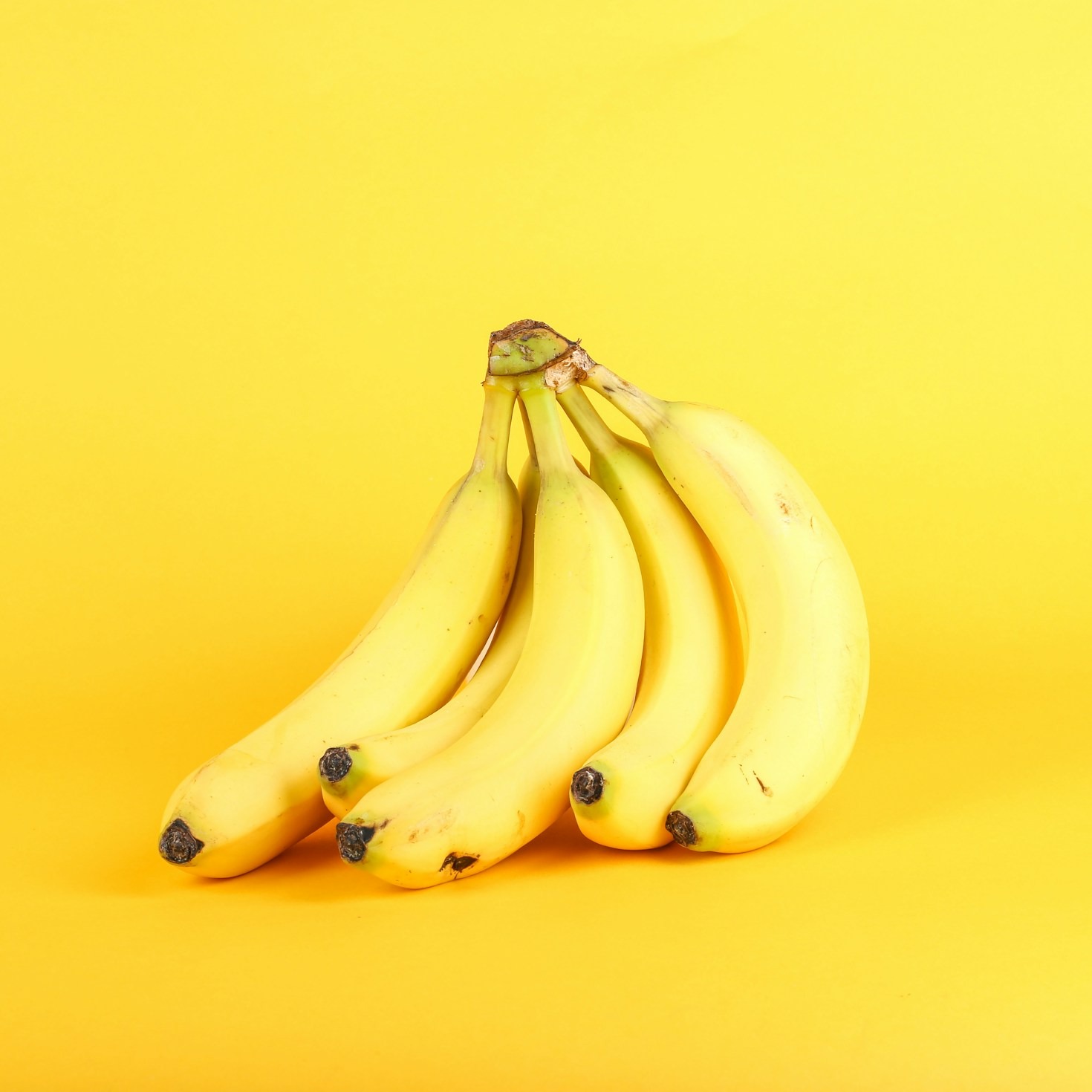 Conheça os tipos de bananas mais populares no Brasil
