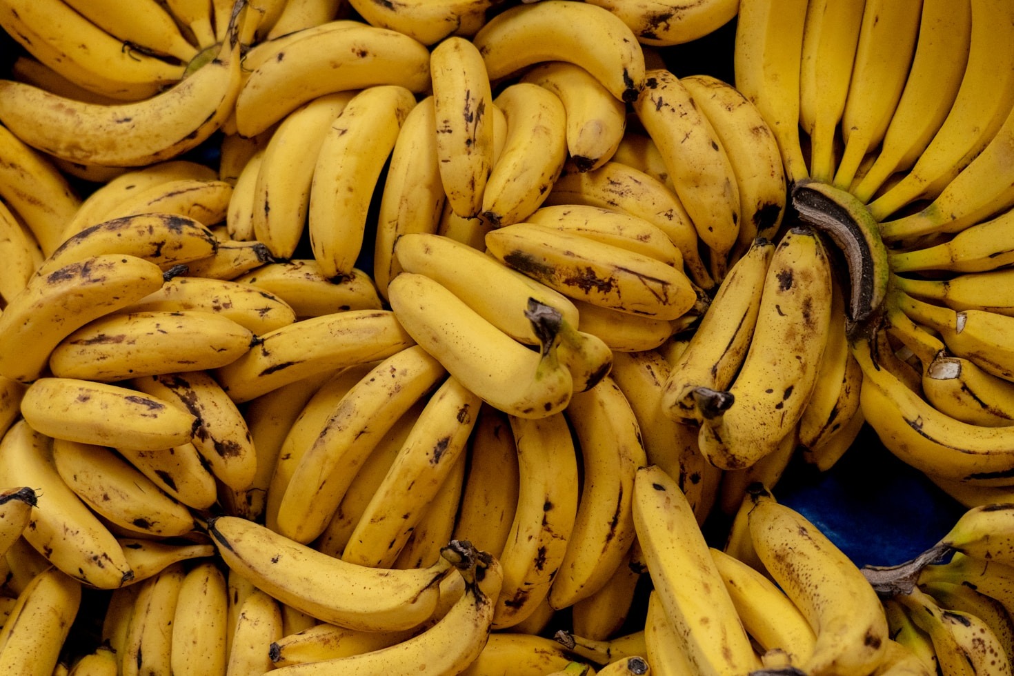 Por que a banana é considerada o alimento perfeito?